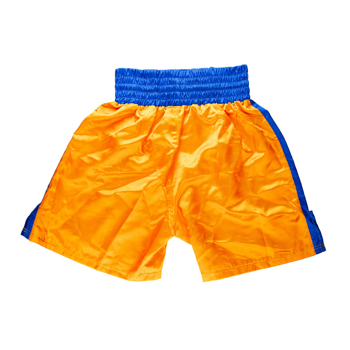 'Kamehameha' Boxing Shorts