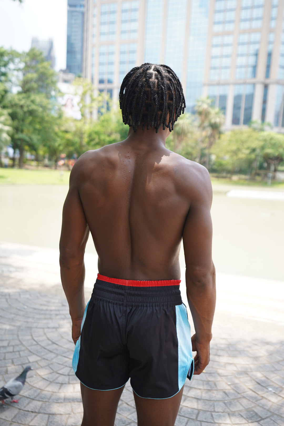 'Arise' Muay Thai Shorts - Fudoshin