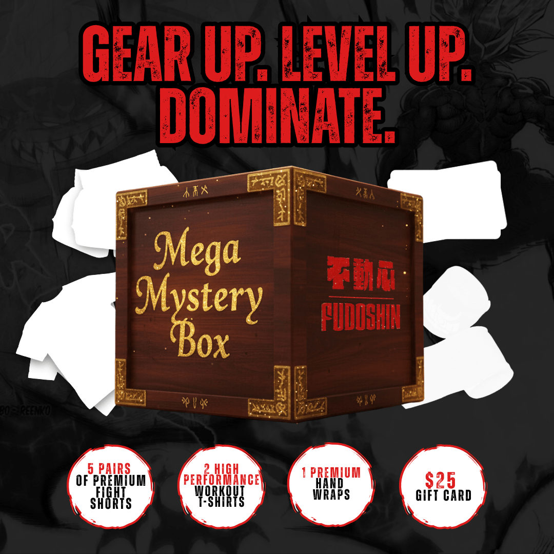 Fudoshin MEGA Mystery Box - Fudoshin