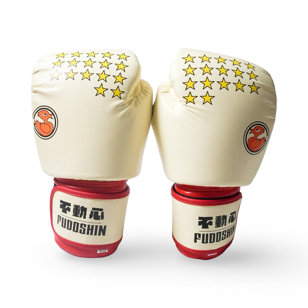 IPPO Leather Boxing Gloves (Pre - Order) - Fudoshin