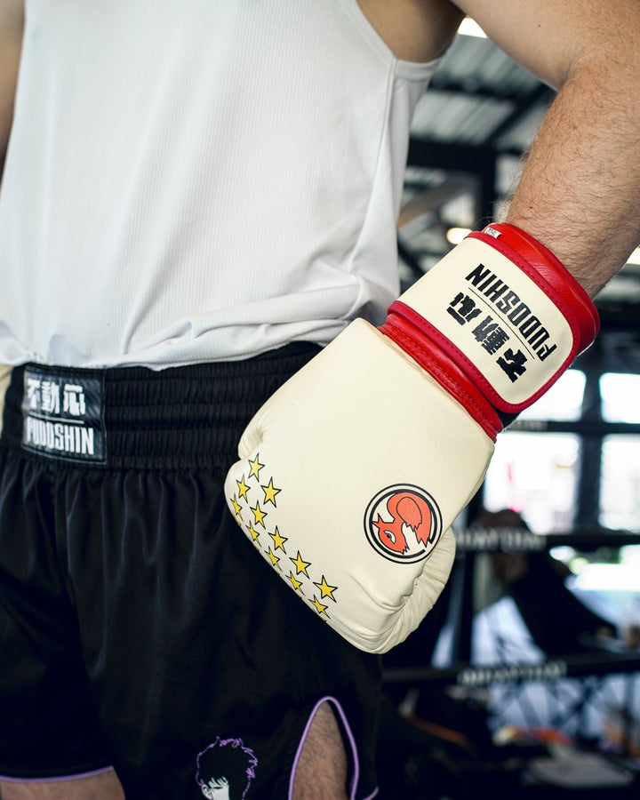 IPPO Leather Boxing Gloves (Pre - Order) - Fudoshin