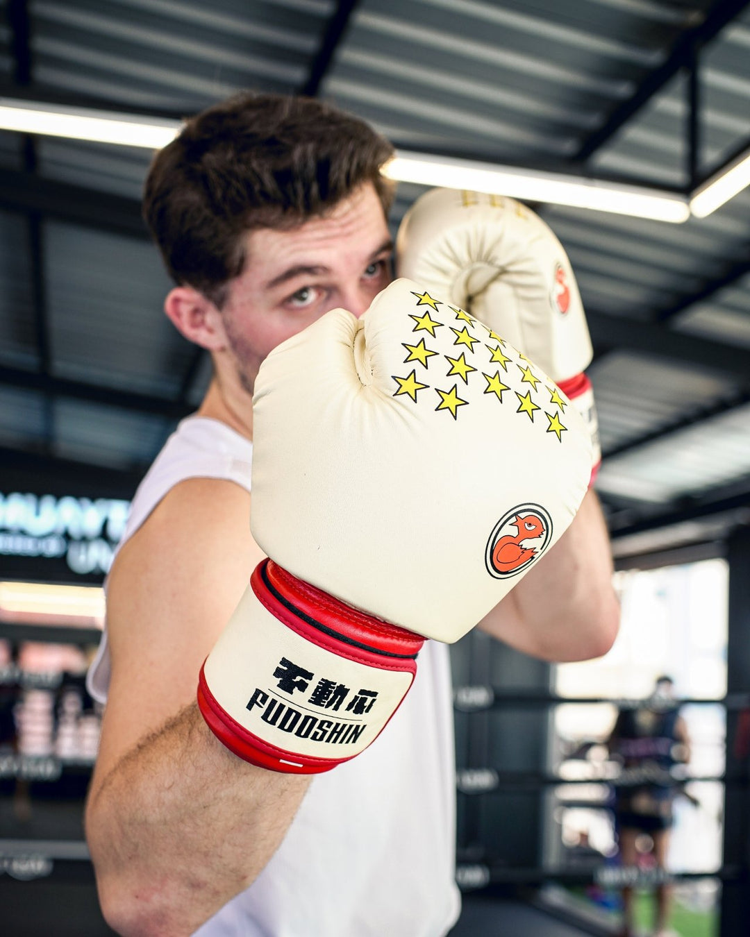 IPPO Leather Boxing Gloves (Pre - Order) - Fudoshin