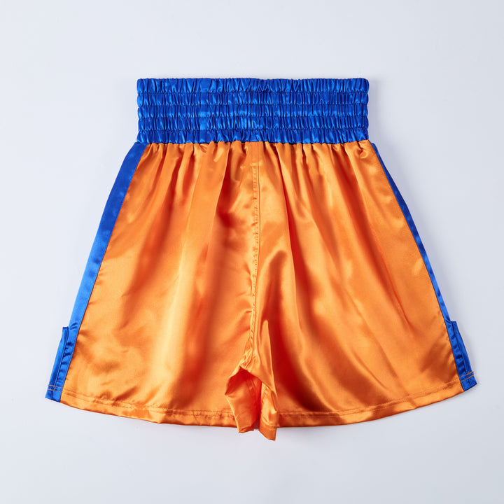 'Kamehameha' Boxing Shorts - Fudoshin
