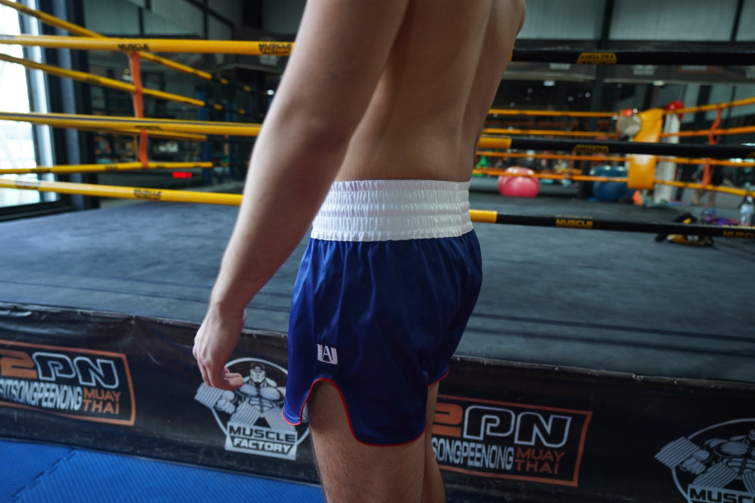 'Plus Ultra' Muay Thai Shorts - Fudoshin