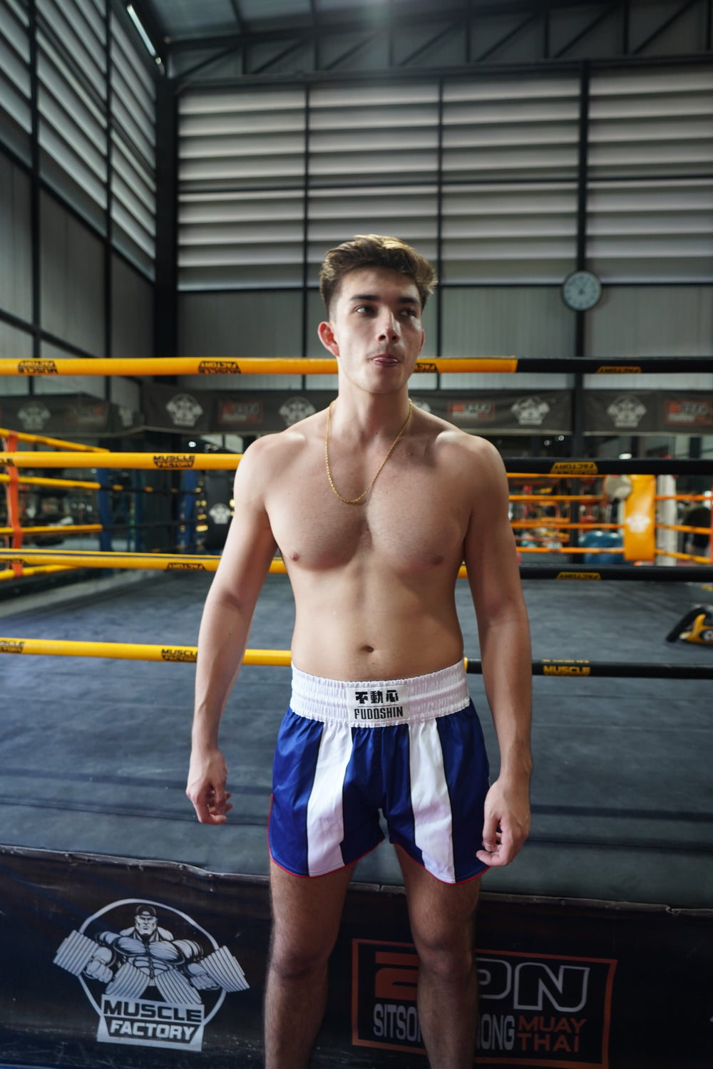 'Plus Ultra' Muay Thai Shorts - Fudoshin
