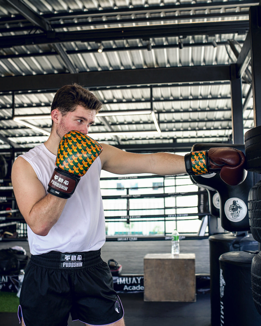 'Slaying Demons' Boxing Gloves (Pre - order) - Fudoshin