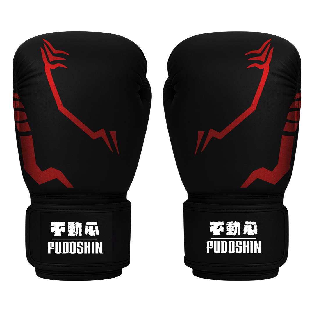 'Sorcerer' Boxing Gloves - Fudoshin