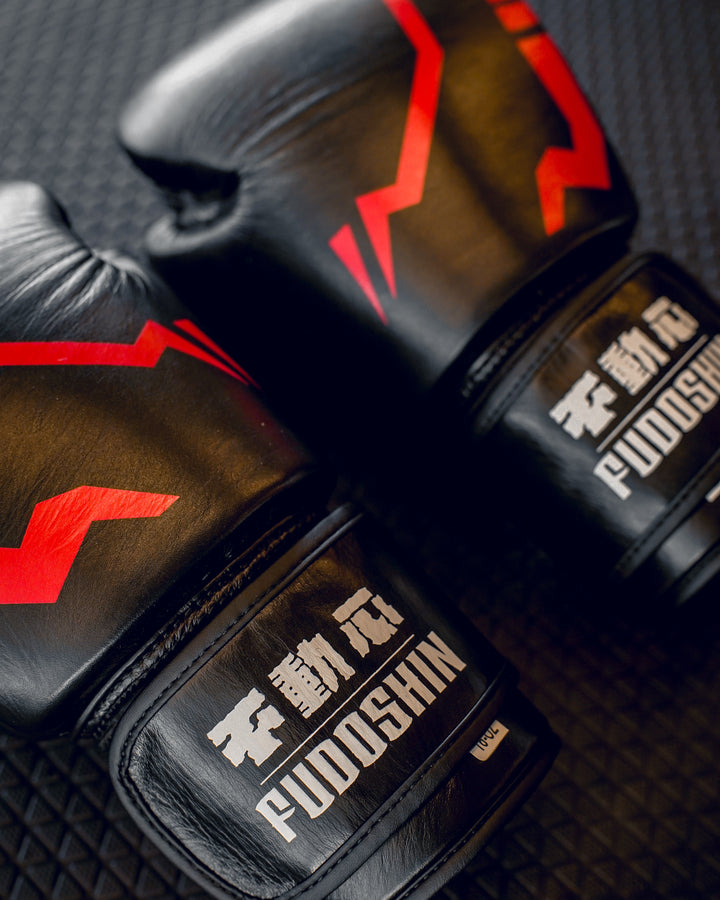 'Sorcerer' Boxing Gloves (Pre - order) - Fudoshin