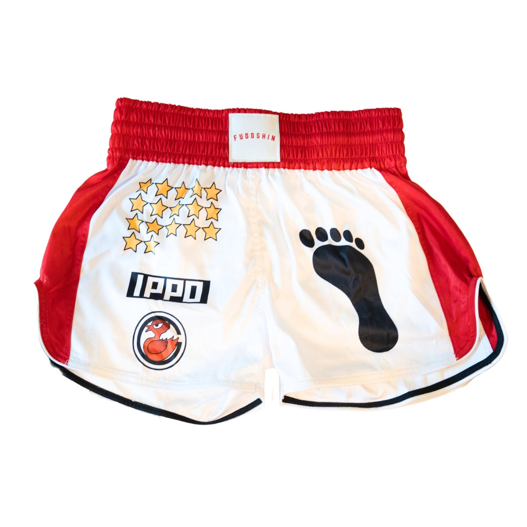 Another Boxer Vibrant Pink, Purple and Yellow Muay Thai Shorts: Stand Out  in Style!